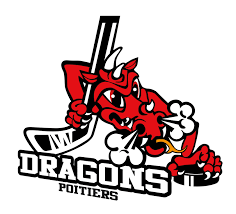 Les dragons ont mis le feu ! - Dragons_Poitiers